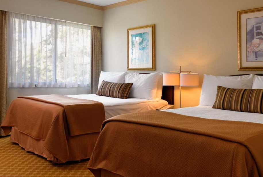 Queen Room with Two Queen Beds - Non-Smoking
