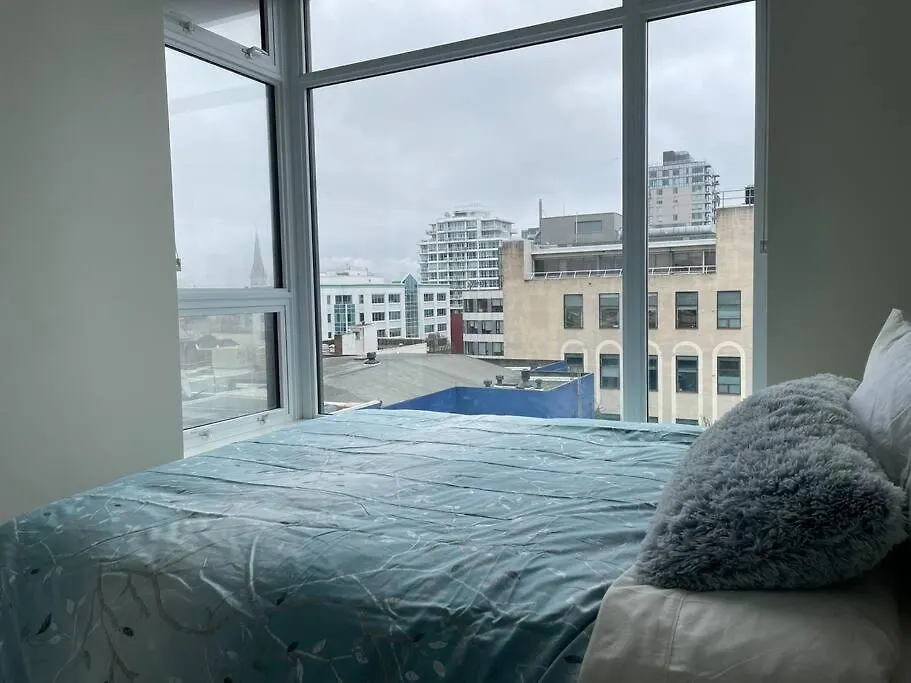 Lovely Downtown 2 Bedroom Condo With Free Parking-1