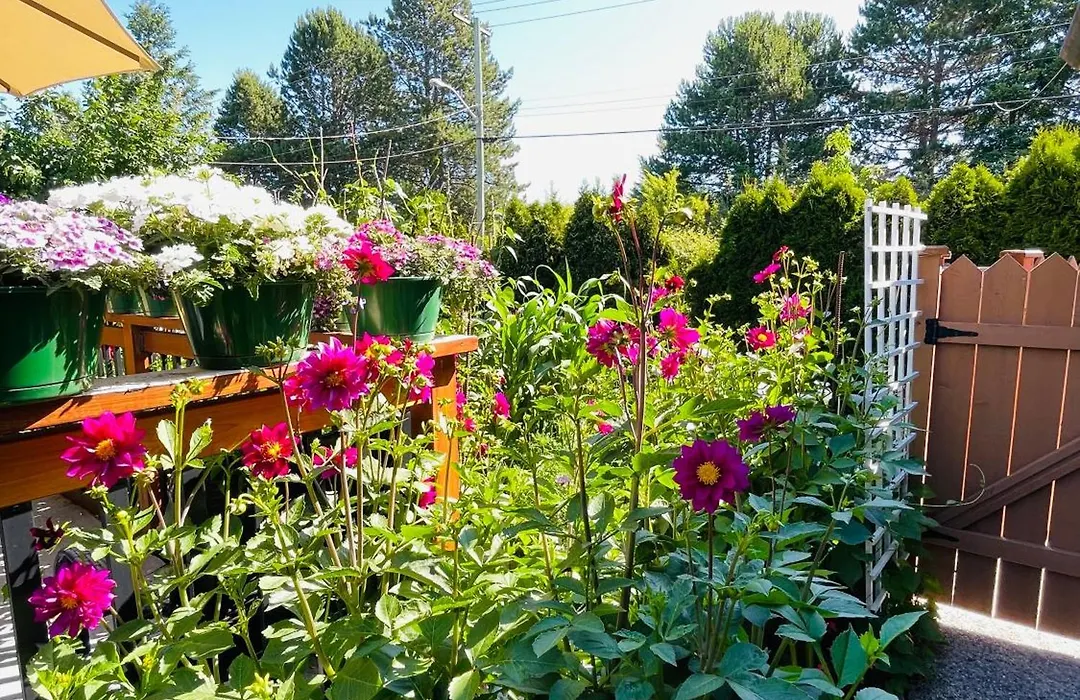 Garden Home In Victoria-1
