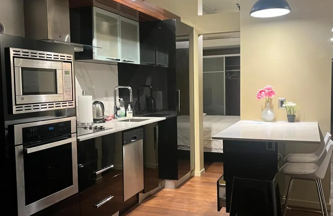 Downtown One Bedroom Apartment 1-1