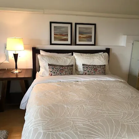 One Bedroom Suite Near Hillside Mall-2