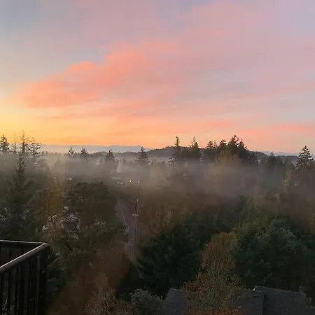 What A View!-2
