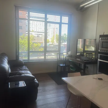 Downtown One Bedroom Apartment 1-3